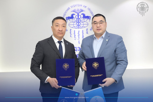 МҮХАҮТ, МОНГОЛЫН ПРОГРАММ ХАНГАМЖ ҮЙЛДВЭРЛЭГЧДИЙН ХОЛБОО ХАМТЫН АЖИЛЛАГААНЫ САНАМЖ БИЧИГ БАЙГУУЛЛАА